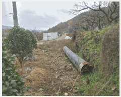  2025Ÿ��2168  �Ӿ߰��