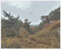  2025Ÿ��2168  �Ӿ߰��