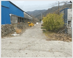  2025Ÿ��2168  �Ӿ߰��