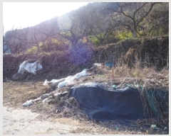  2025Ÿ��2168  �Ӿ߰��