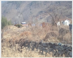  2025Ÿ10053 泲 о   755      (1)