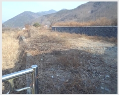  2025Ÿ10053 泲 о   755      (1)