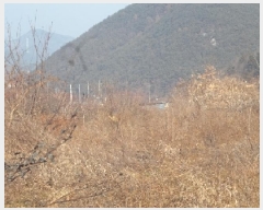  2025Ÿ10053 泲 о   755      (1)