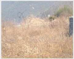  2025Ÿ10053 泲 о   755      (1)