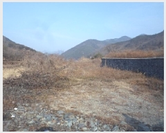  2025Ÿ10053 泲 о   755      (1)