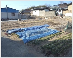  2025Ÿ��10114 �泲 â�籺 ���ո� �뵿�� 389-1      ����(����)���