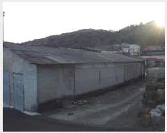  2025Ÿ10176 泲 о ȸ 긮 1060-6      ()