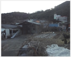  2025Ÿ10176 泲 о ȸ 긮 1060-6      ()