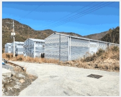  2025Ÿ��10206  â�����