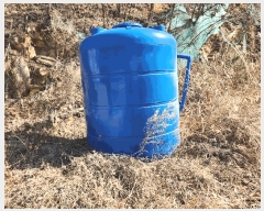  2025Ÿ��10206  â�����