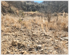  2025Ÿ��10206  â�����