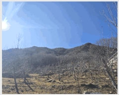  2025Ÿ��10213 �泲 �о�� �곻�� ������ ��129      ����(�Ӿ�)���