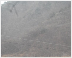  2025Ÿ��10213 �泲 �о�� �곻�� ������ ��129      ����(�Ӿ�)���