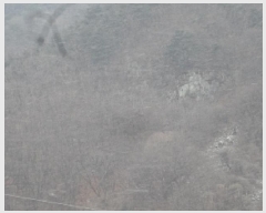  2025Ÿ��10213 �泲 �о�� �곻�� ������ ��129      ����(�Ӿ�)���