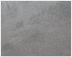  2025Ÿ��10213 �泲 �о�� �곻�� ������ ��129      ����(�Ӿ�)���