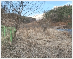  2025Ÿ10231 泲 â籺 帶  628-5      (1)