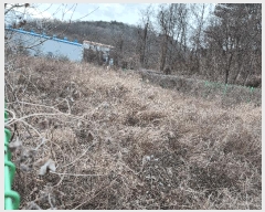  2025Ÿ10231 泲 â籺 帶  628-5      (1)