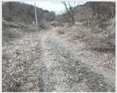  2025Ÿ10231 泲 â籺 帶  628-5      (1)