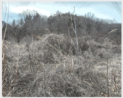  2025Ÿ10231 泲 â籺 帶  628-5      (1)