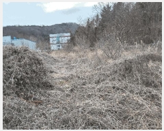  2025Ÿ10231 泲 â籺 帶  628-5      (1)