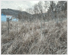  2025Ÿ10231 泲 â籺 帶  628-5      (1)