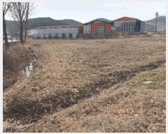  2025Ÿ10238 泲 â籺  긮 386-1      ()