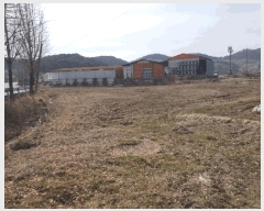  2025Ÿ10238 泲 â籺  긮 386-1      ()