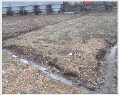  2025Ÿ10238 泲 â籺  긮 386-1      ()