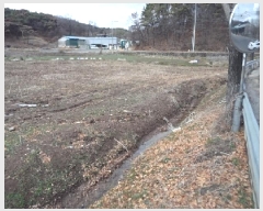  2025Ÿ10238 泲 â籺  긮 386-1      ()