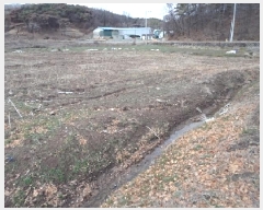  2025Ÿ10238 泲 â籺  긮 386-1      ()