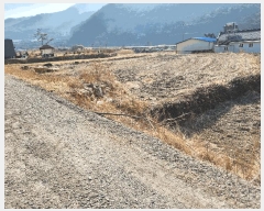  2025Ÿ10241 泲 â籺 輺 縮 420      ()