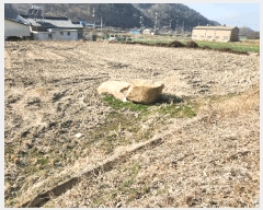  2025Ÿ10241 泲 â籺 輺 縮 420      ()