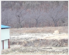  2025Ÿ10241 泲 â籺 輺 縮 420      ()