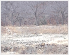  2025Ÿ10241 泲 â籺 輺 縮 420      ()