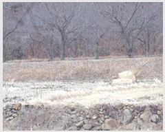  2025Ÿ10241 泲 â籺 輺 縮 420      ()