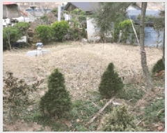  2025Ÿ10271 泲 â籺  а踮 10-7      (1)