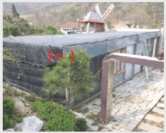  2025Ÿ10271 泲 â籺  а踮 10-7      (1)