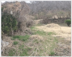  2025Ÿ10271 泲 â籺  а踮 10-7      (1)