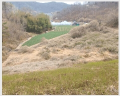  2025Ÿ��10273 �泲 â�籺 ������ ������ 297      ����(��1)���