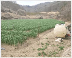  2025Ÿ��10273 �泲 â�籺 ������ ������ 297      ����(��1)���