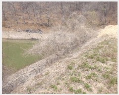  2025Ÿ��10273 �泲 â�籺 ������ ������ 297      ����(��1)���