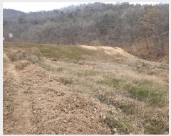  2025Ÿ��10273 �泲 â�籺 ������ ������ 297      ����(��1)���