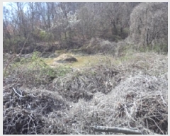  2025Ÿ��10273 �泲 â�籺 ������ ������ 297      ����(��1)���