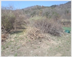  2025Ÿ��10273 �泲 â�籺 ������ ������ 297      ����(��1)���