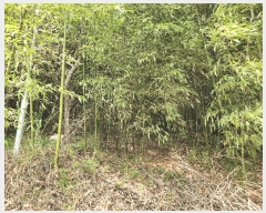  2025Ÿ��10279  �Ӿ߰��