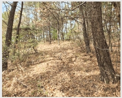  2025Ÿ��10279  �Ӿ߰��