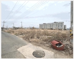  2025Ÿ10288 泲 о ϳ 긮 142-3      ()