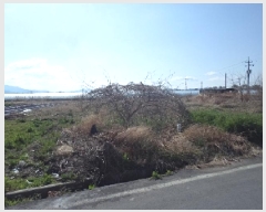  2025Ÿ10288 泲 о ϳ 긮 142-3      ()