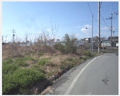  2025Ÿ10288 泲 о ϳ 긮 142-3      ()