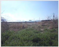  2025Ÿ10288 泲 о ϳ 긮 142-3      ()